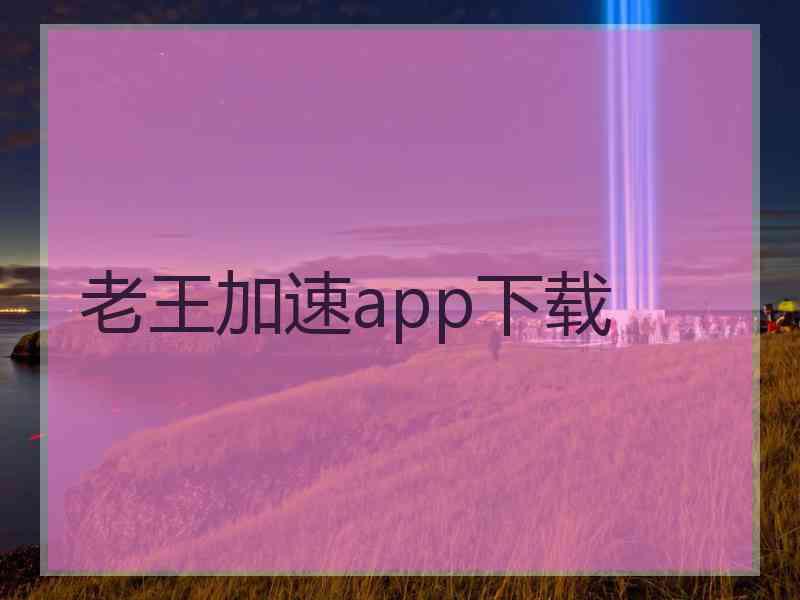 老王加速app下载