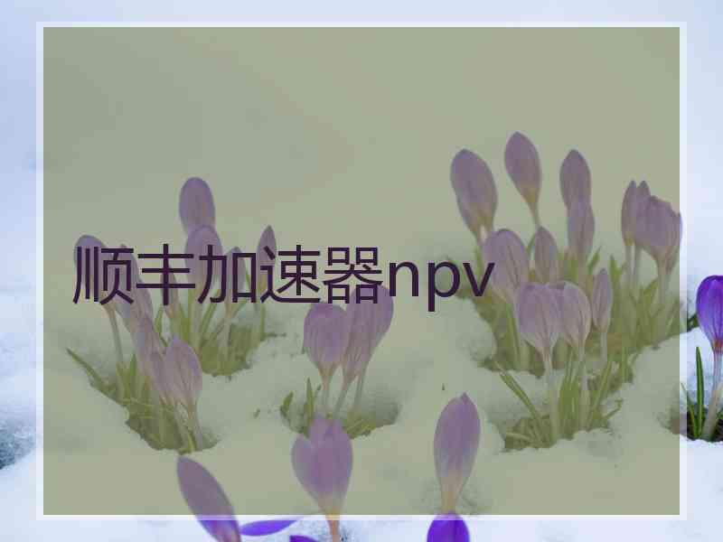 顺丰加速器npv