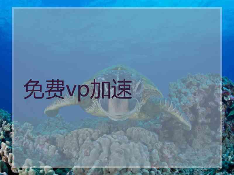 免费vp加速