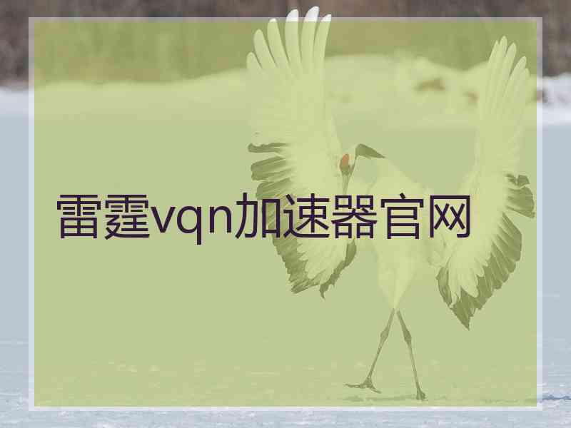 雷霆vqn加速器官网