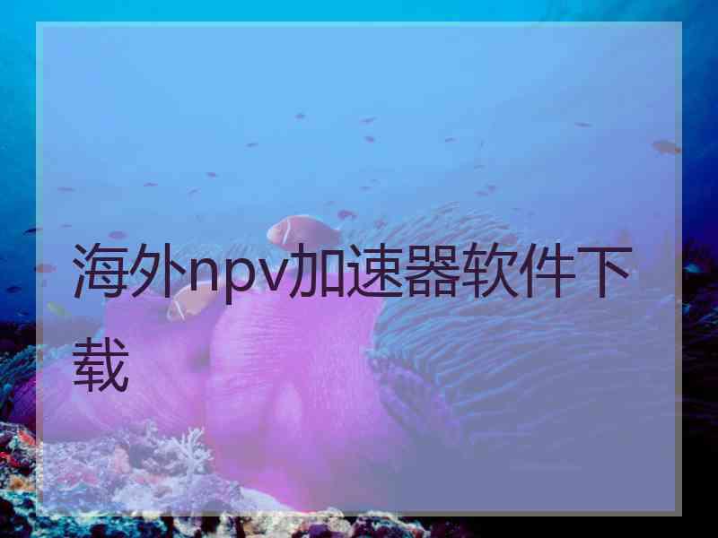 海外npv加速器软件下载