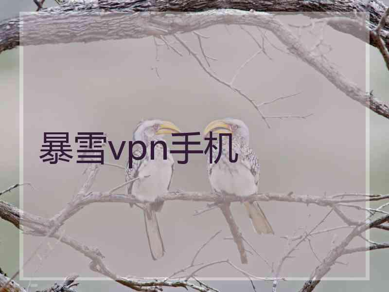 暴雪vpn手机