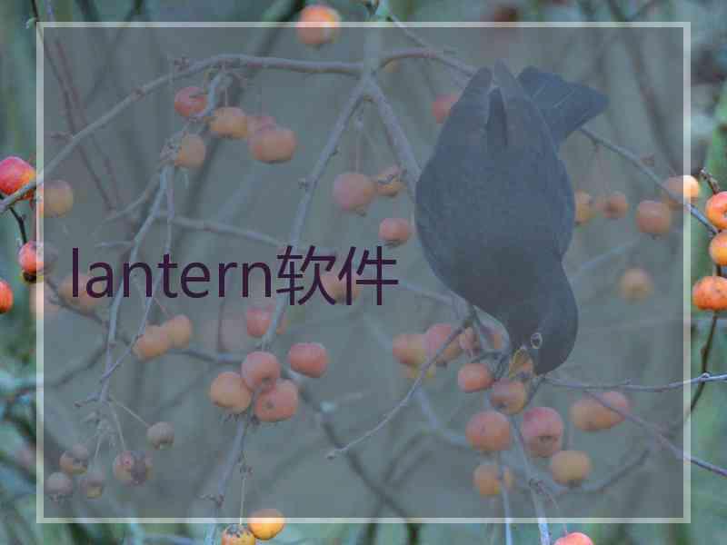 lantern软件