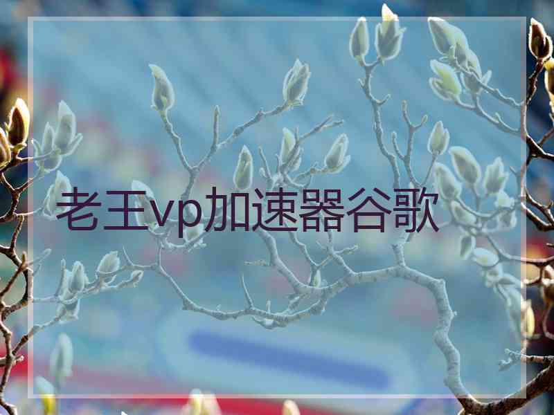 老王vp加速器谷歌