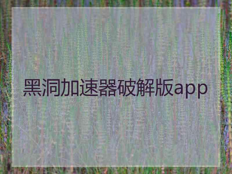 黑洞加速器破解版app