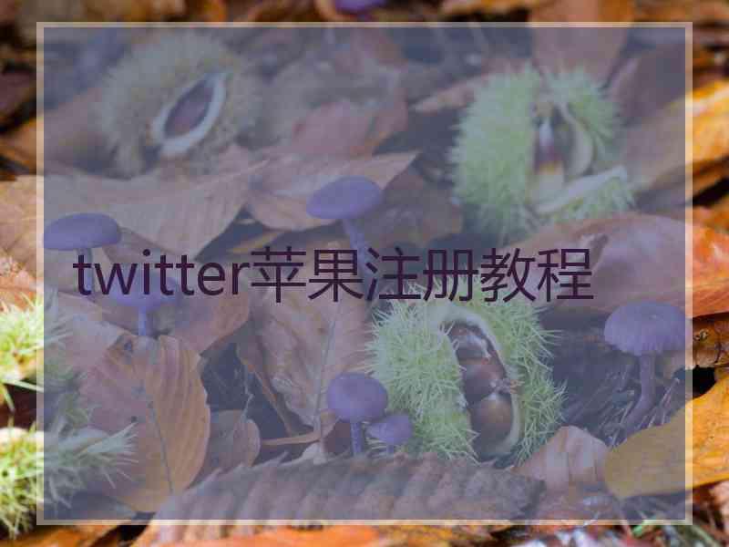 twitter苹果注册教程