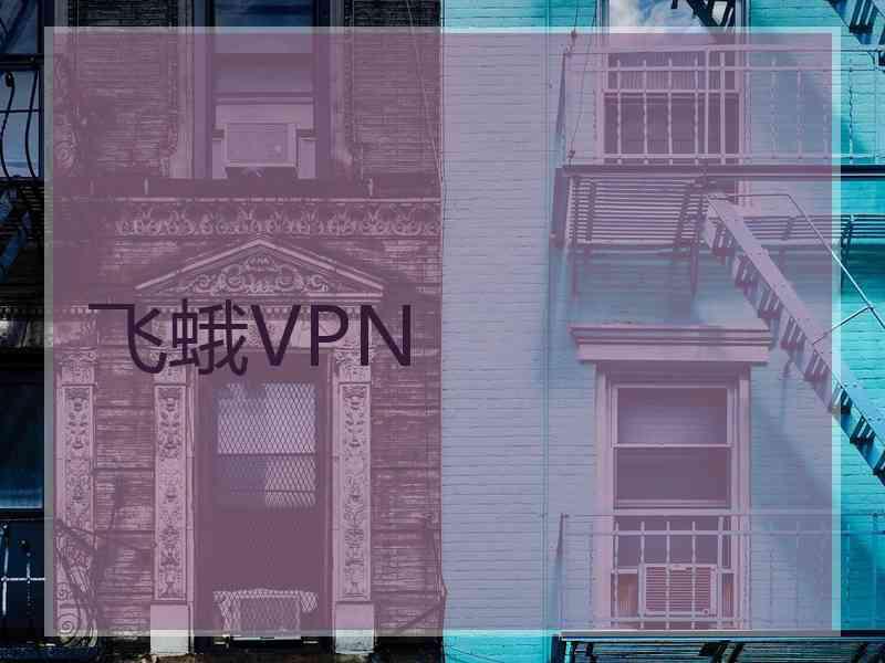 飞蛾VPN