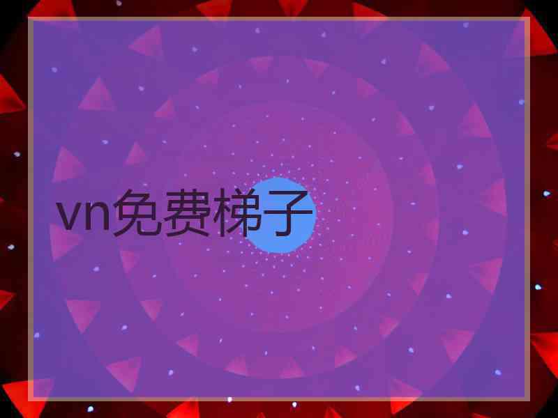 vn免费梯子