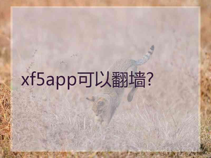 xf5app可以翻墙?