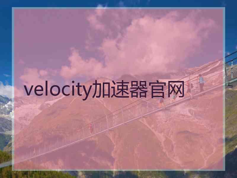 velocity加速器官网