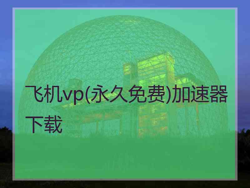 飞机vp(永久免费)加速器下载