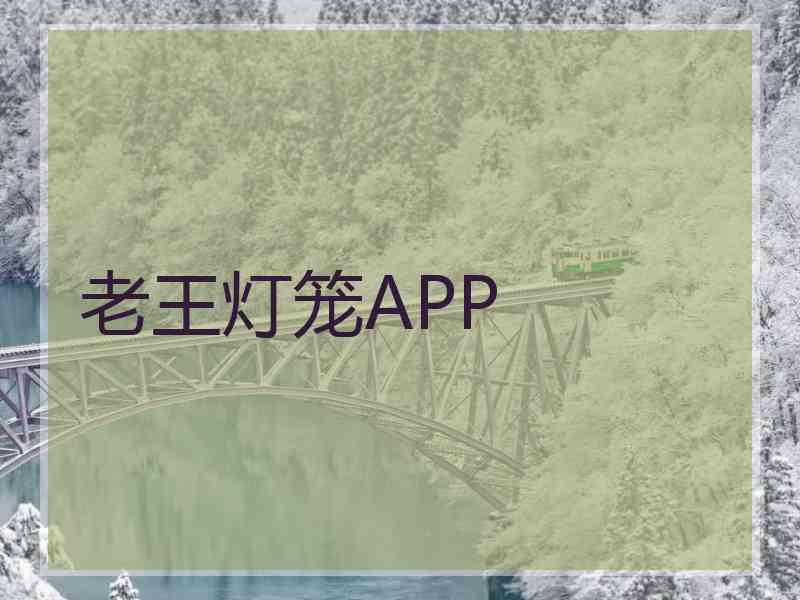 老王灯笼APP