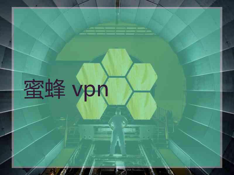 蜜蜂 vpn