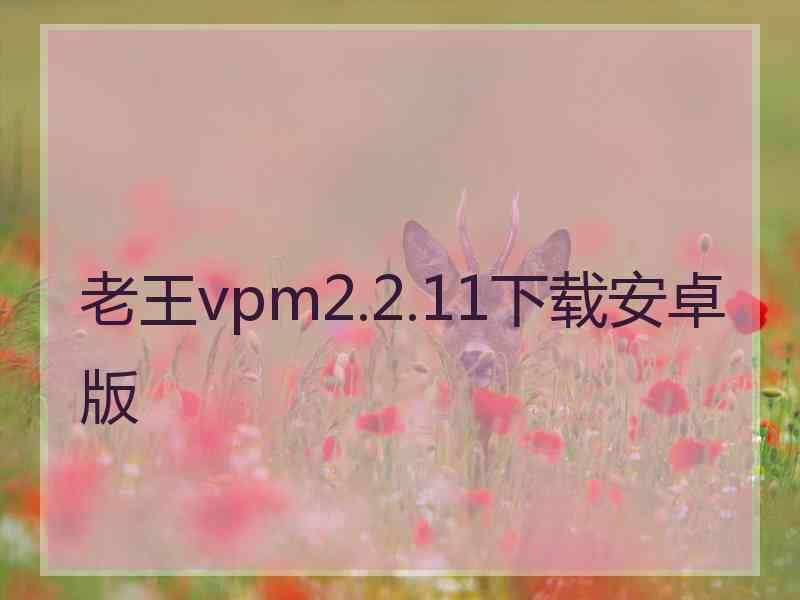 老王vpm2.2.11下载安卓版