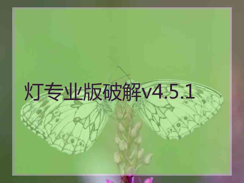 灯专业版破解v4.5.1