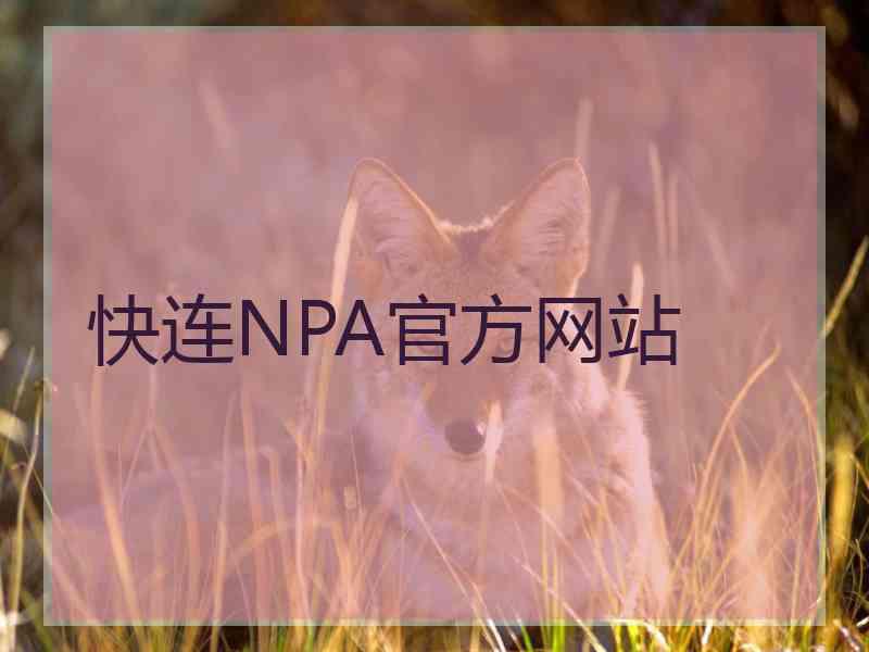 快连NPA官方网站