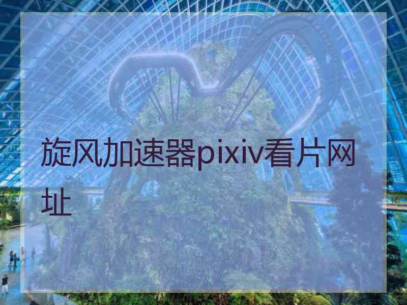 旋风加速器pixiv看片网址