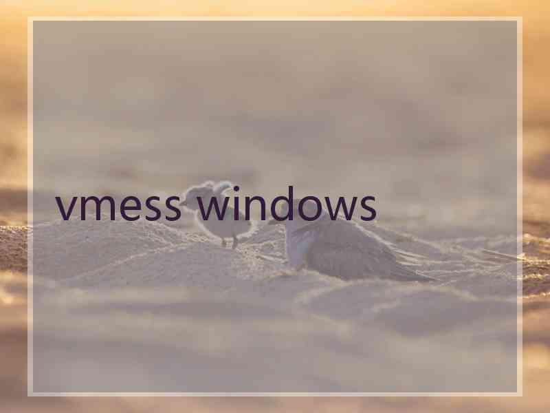 vmess windows