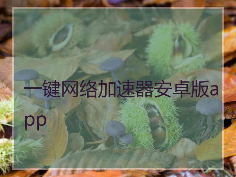 一键网络加速器安卓版app