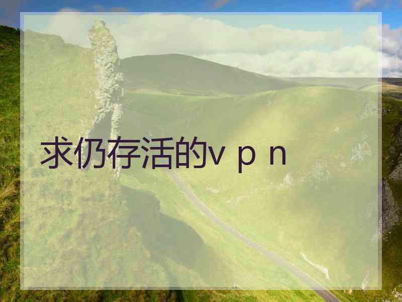 求仍存活的v p n