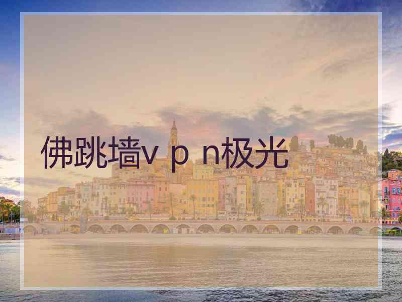 佛跳墙v p n极光