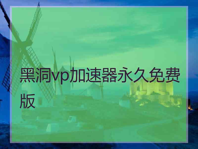 黑洞vp加速器永久免费版