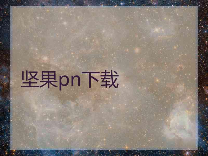 坚果pn下载