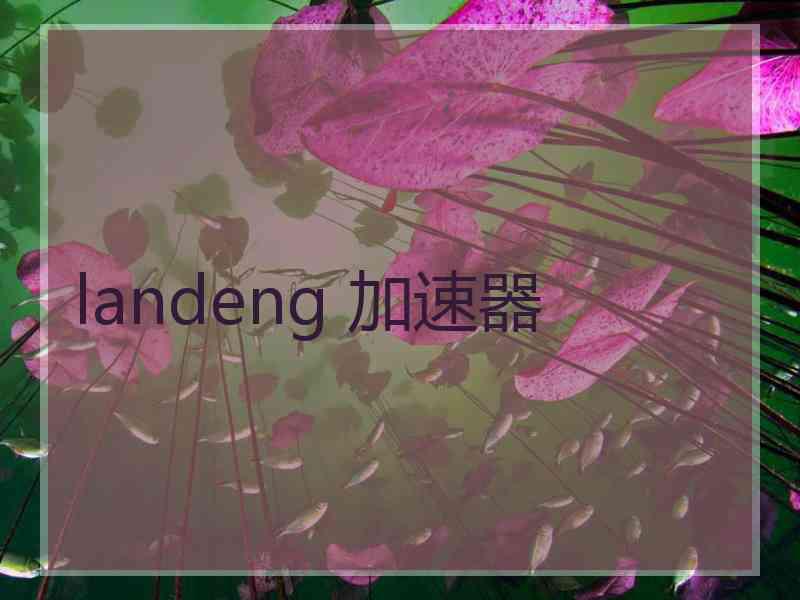 landeng 加速器