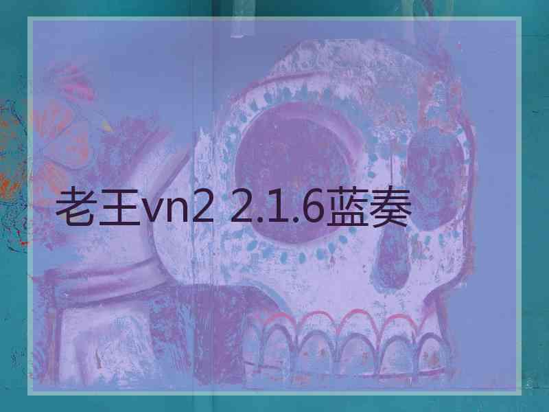 老王vn2 2.1.6蓝奏