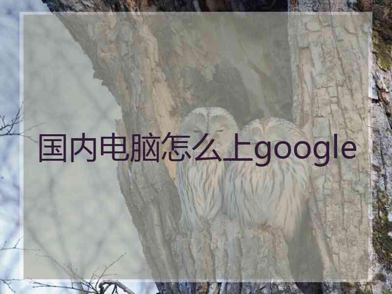 国内电脑怎么上google