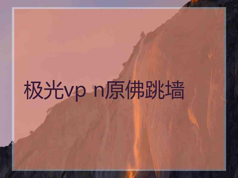 极光vp n原佛跳墙