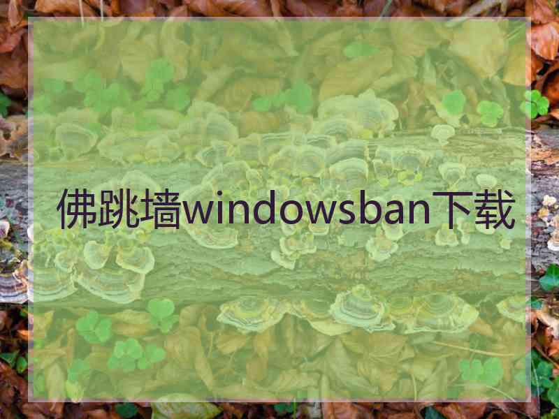 佛跳墙windowsban下载