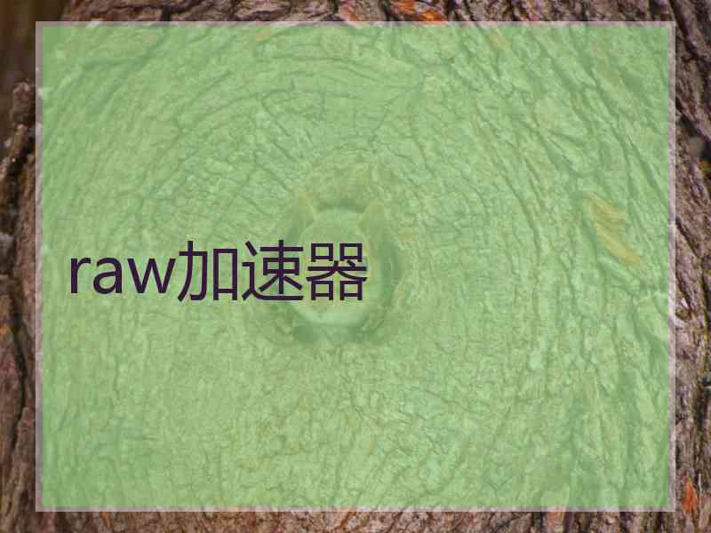 raw加速器