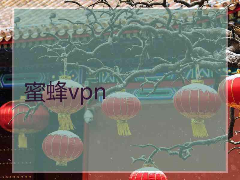 蜜蜂vpn