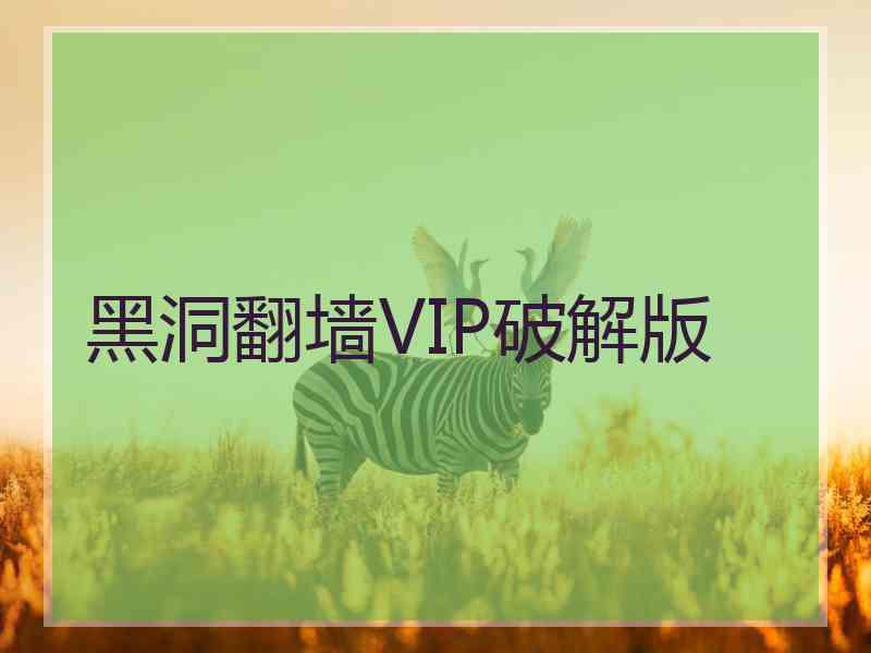 黑洞翻墙VIP破解版