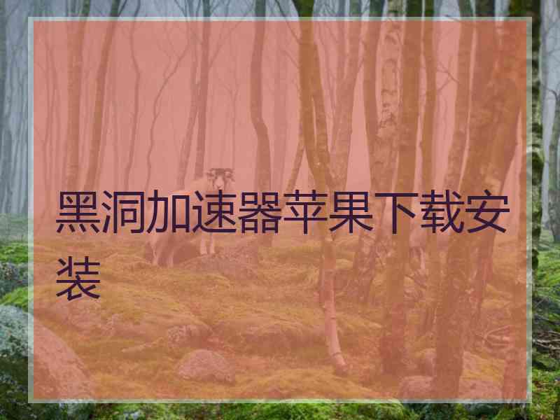 黑洞加速器苹果下载安装