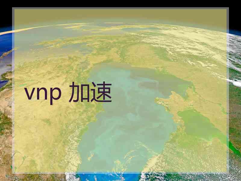 vnp 加速