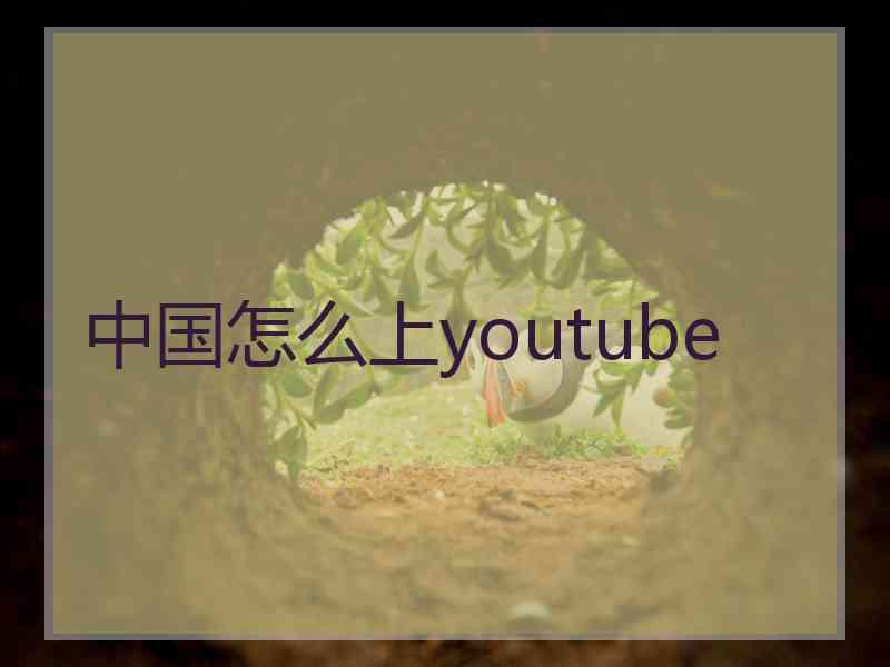 中国怎么上youtube