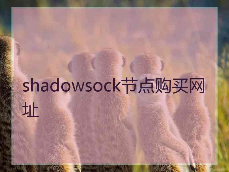 shadowsock节点购买网址