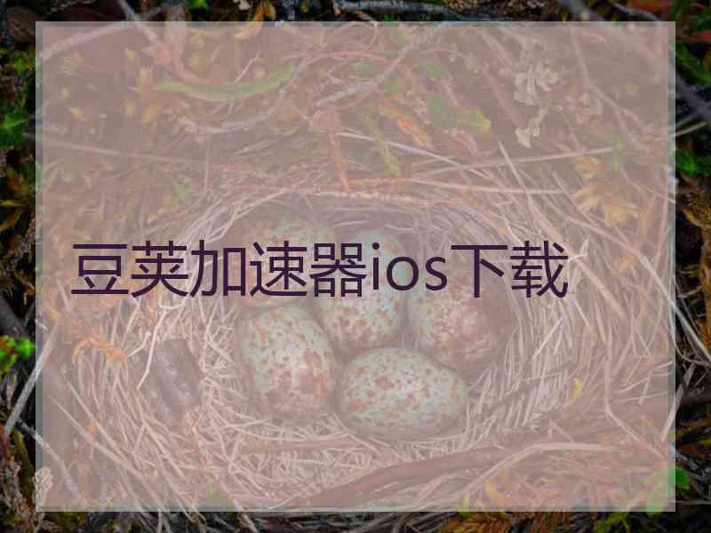 豆荚加速器ios下载