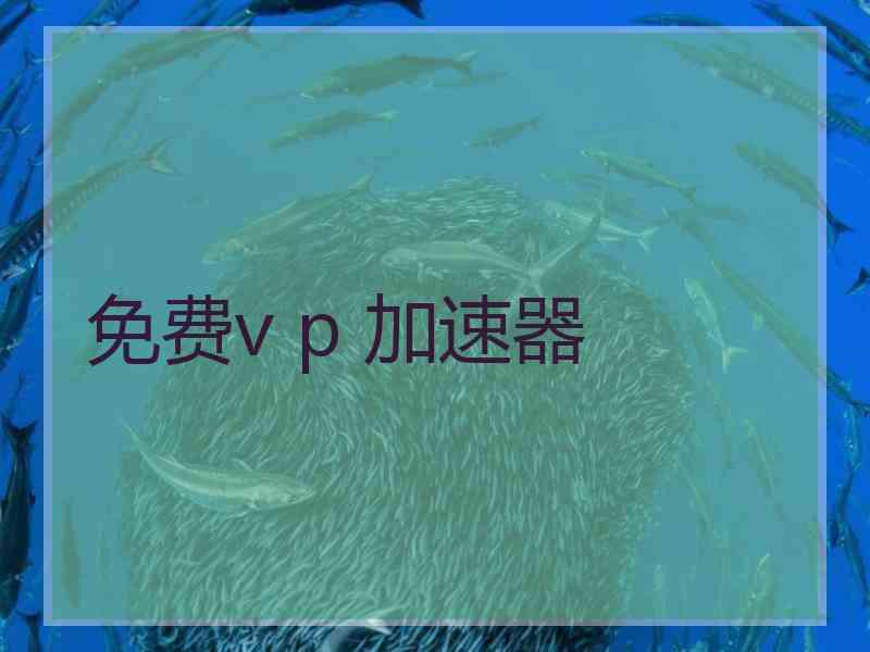 免费v p 加速器