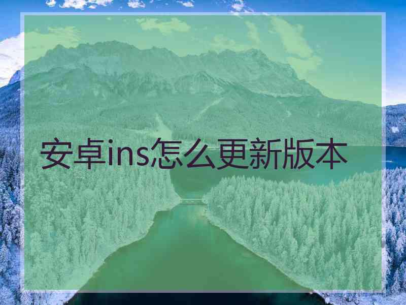 安卓ins怎么更新版本