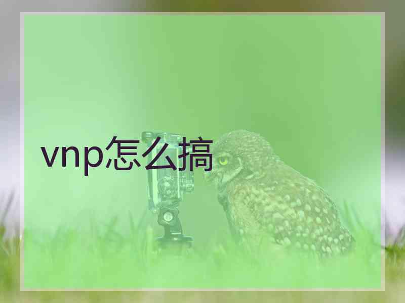 vnp怎么搞