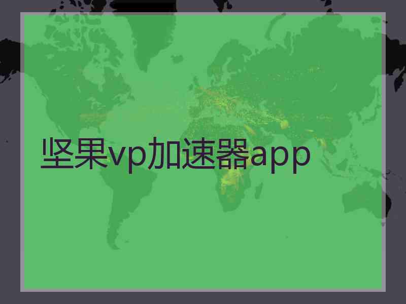 坚果vp加速器app