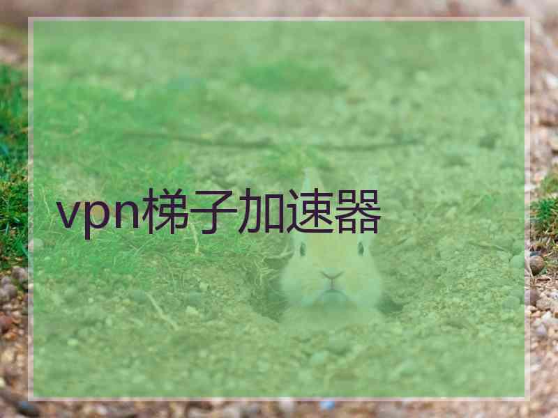 vpn梯子加速器