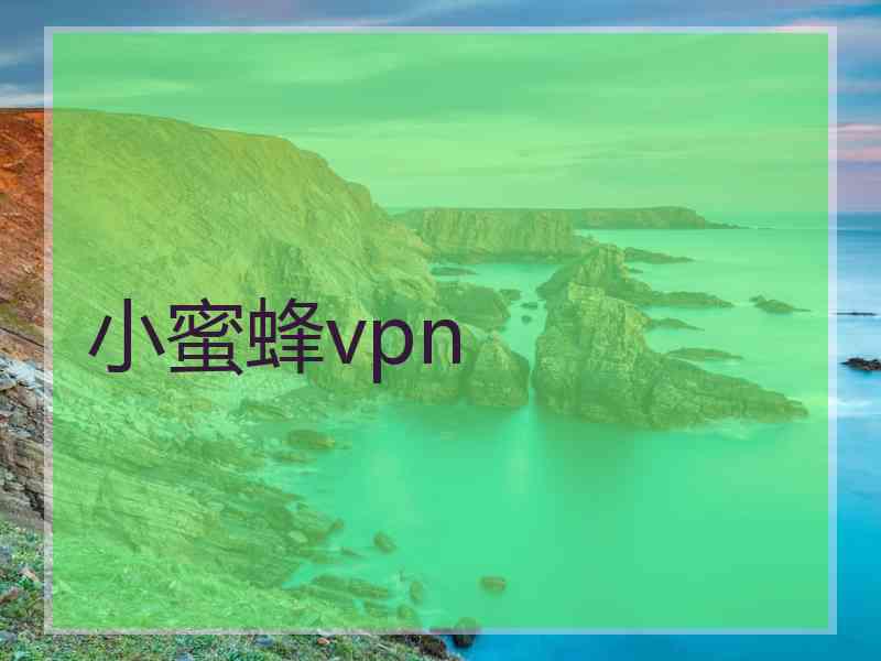 小蜜蜂vpn