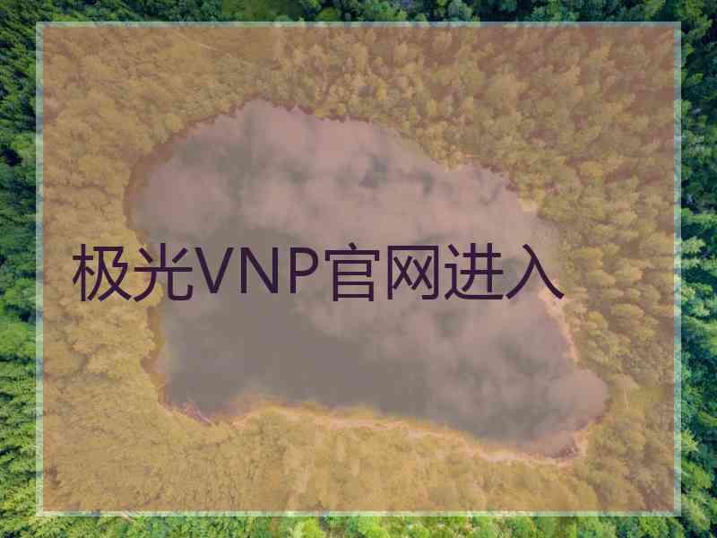 极光VNP官网进入