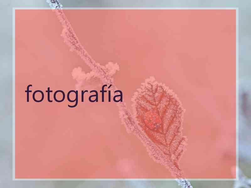 fotografía