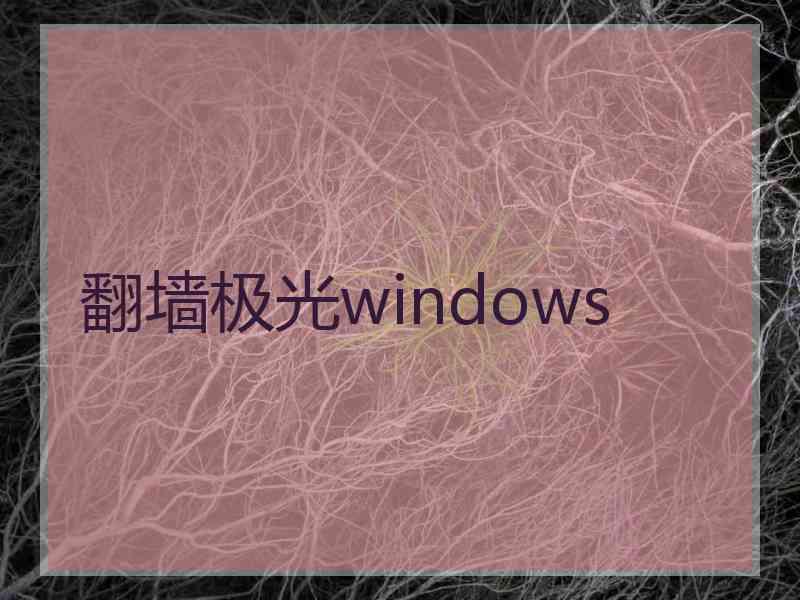 翻墙极光windows