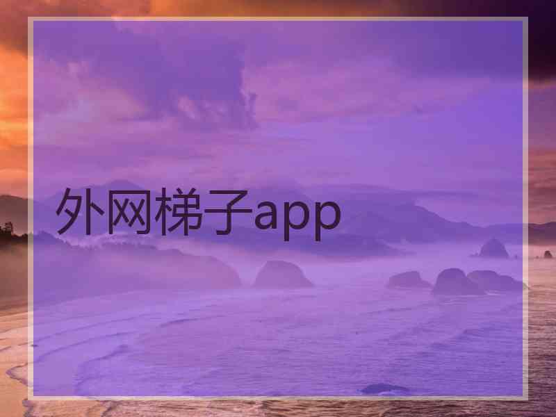 外网梯子app